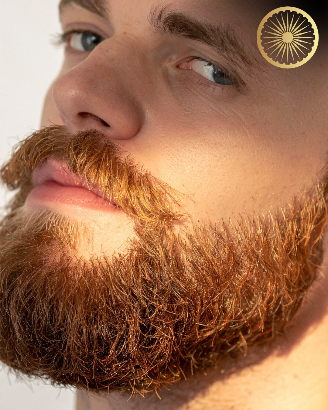 beard color mountain view